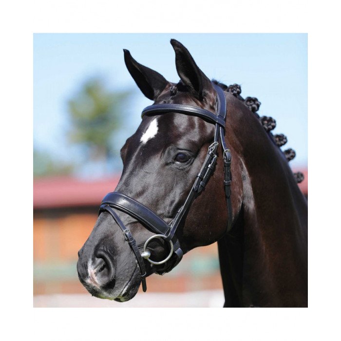 Testiere Monta Inglese  Filosofia Leather Bridle 169,59 €