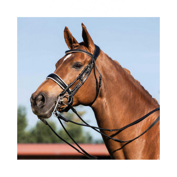 cabeçada  Freio de rédeas duplas de couro enrolado Gioconda 304,51 €
