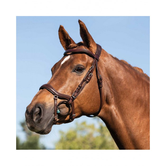 Testiere Monta Inglese  Allegoria Leather Bridle 196,31 €