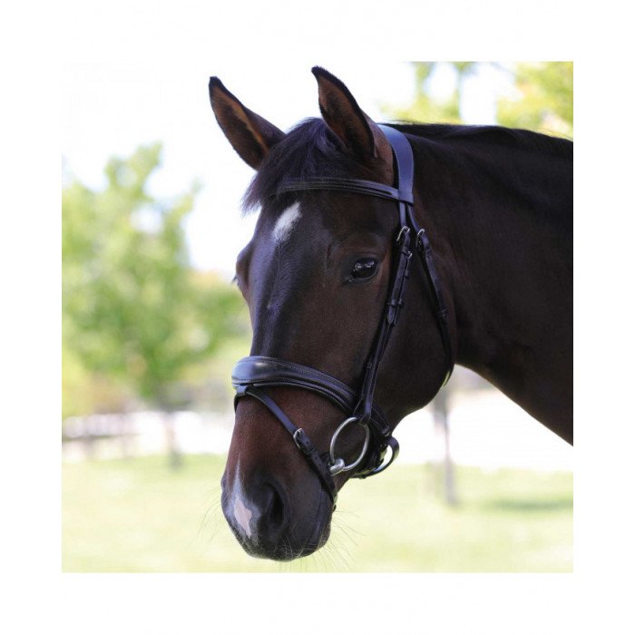 Testiere Monta Inglese  Maesta' Leather Bridle 192,54 €