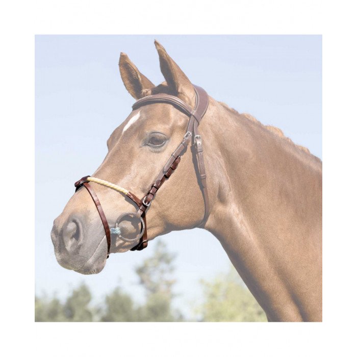 Accesorios y repuestos Muserola Cuerda Flash 57,79&nbsp;€