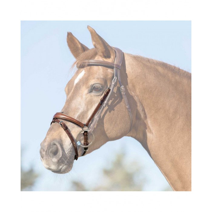 Accesorios y repuestos Muserola Flash 57,79&nbsp;€