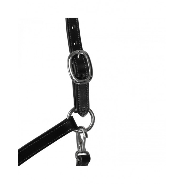 licol  Licol cuir W muserolle ergonomique Pollguard Rope 81,56 € licol  Licol cuir W muserolle ergonomique Pollguard Rope 81,56 €