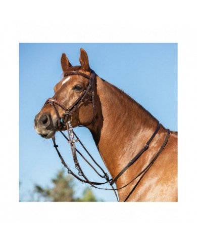 Accessori da Doma Monta Inglese Italian Leather And Round Nylon Thiedemann Reins 67,13&nbsp;€