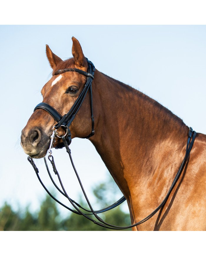Bridas De Equitación Canter Alme - Cabezadas De Montar / Riendas
