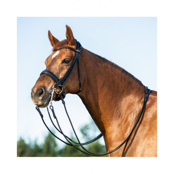 cabeçada  Freio de rédeas duplas de couro enrolado Parnaso 374,18 €