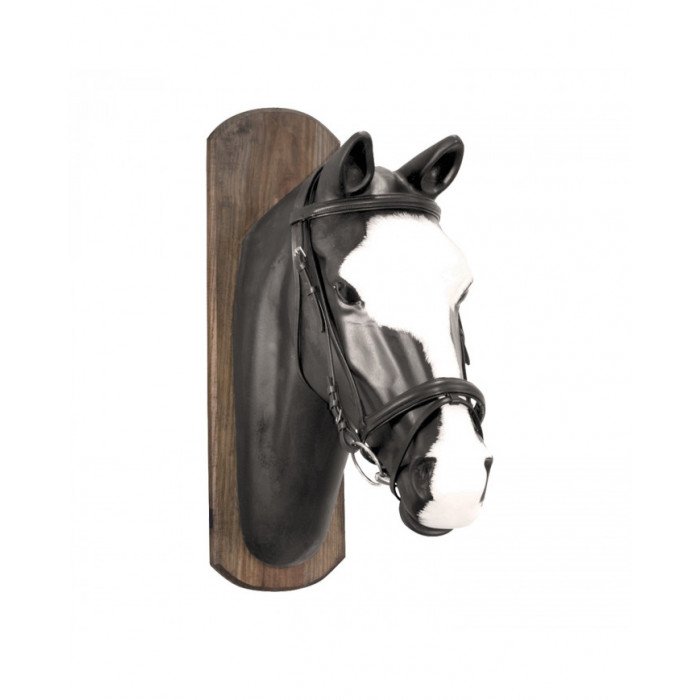 zaumzeuge  Englisches zaumzeuge zügel Canvas 31,89 €