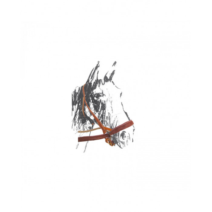 halter  Cavezzone Maremma Artisan Leather 78,61 € halter  Cavezzone Maremma Artisan Leather 78,61 €