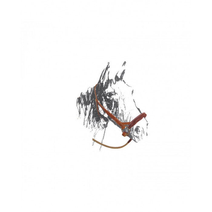Halter  Maremma Handcrafted Leather halter 73,36 € Halter  Maremma Handcrafted Leather halter 73,36 €