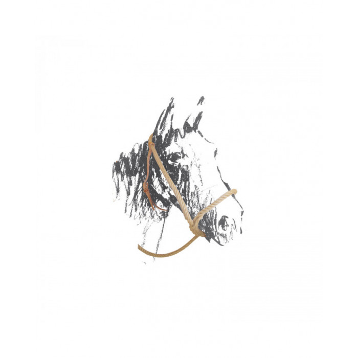halfter  halfter aus Maremmana-Hanf 30,25 € halfter  halfter aus Maremmana-Hanf 30,25 €