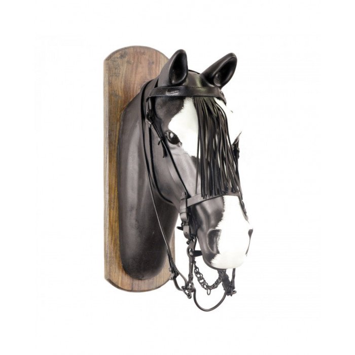 zaumzeuge Vaquera Trense C Fransen Jm 54,02&nbsp;€