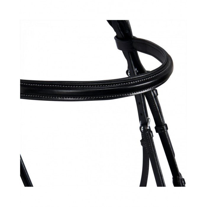 zaumzeuge  Funkelndes zaumzeuge 111,80 €