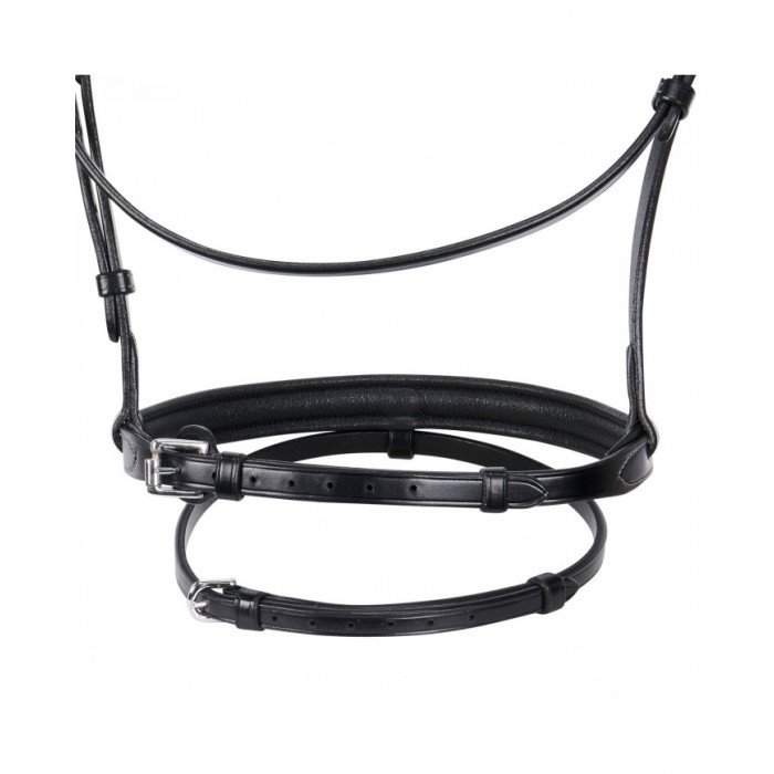 zaumzeuge  Funkelndes zaumzeuge 111,80 €