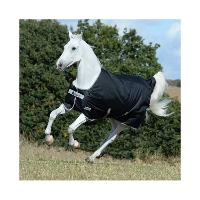 Corbejao de paddock Cobertor de Aniversário Turnout 200 Sf Silk Feel 177,46&nbsp;€