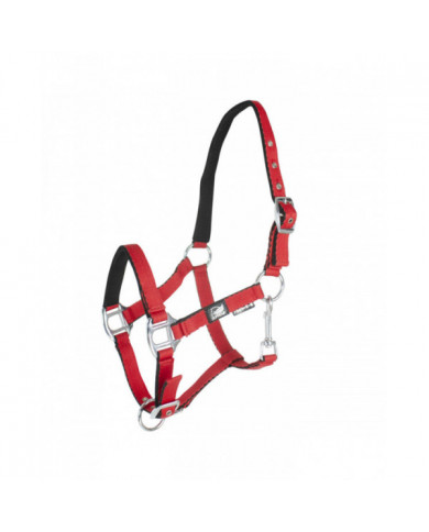 Cavezze Monta Inglese  Cavezza Puledro Imbottita Soft Touch Supreme 10,25 € Cavezze Monta Inglese  Cavezza Puledro Imbottita Soft Touch Supreme 10,25 €