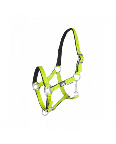 Cavezze Monta Inglese  Cavezza Puledro Imbottita Soft Touch Supreme 10,25 € Cavezze Monta Inglese  Cavezza Puledro Imbottita Soft Touch Supreme 10,25 €