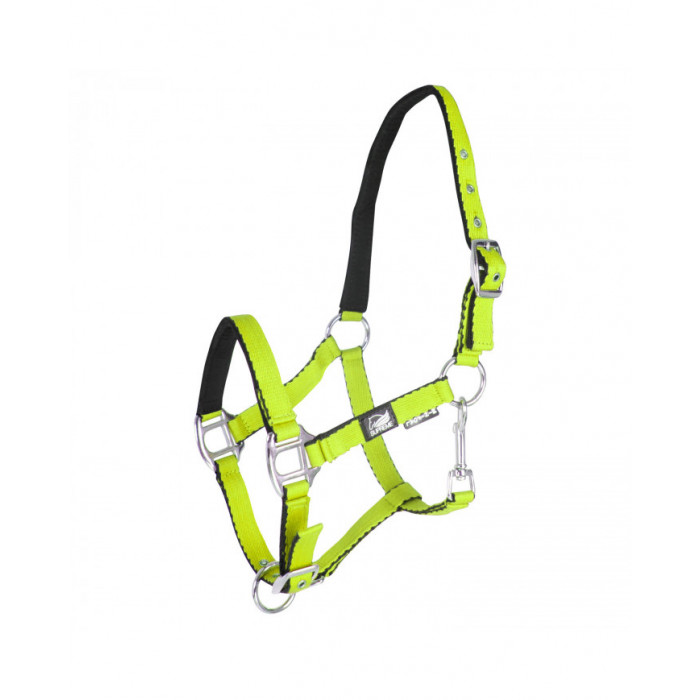 halter  Soft Touch Supreme Padded Foal halter 10,25 € halter  Soft Touch Supreme Padded Foal halter 10,25 €