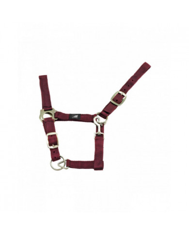 halter  Double Adjustment Nylon halter 6,15 € halter  Double Adjustment Nylon halter 6,15 €
