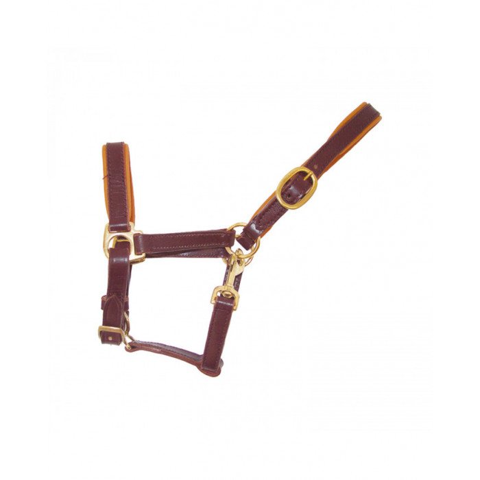 cabeção  Reg. de potro de couro cabeção 9,84 €