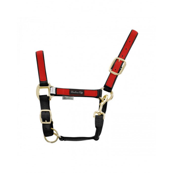 halfter Farbiges halfter 22,87&nbsp;€