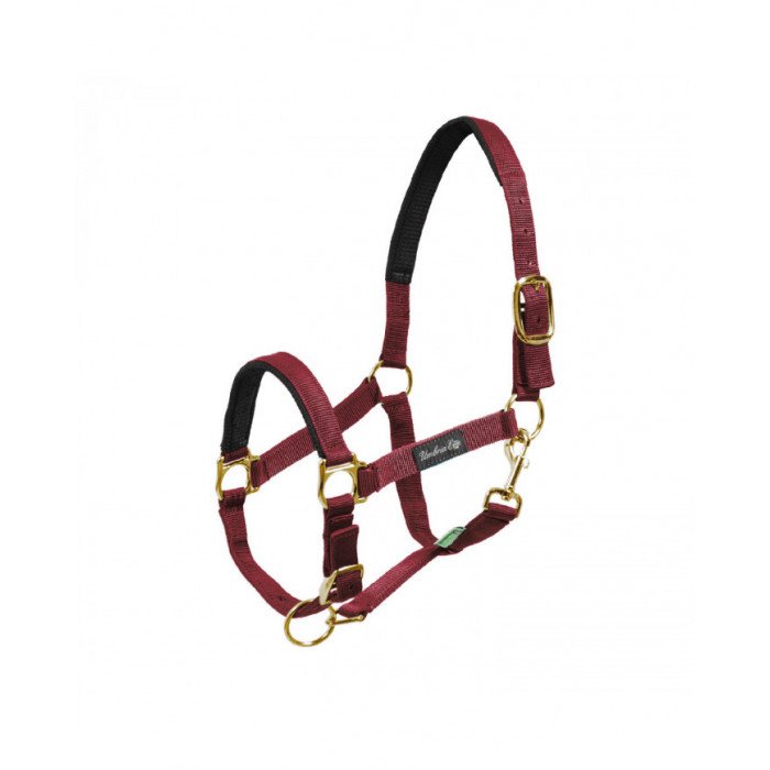 halfter halfter Nylon Neoprene Verstärkung 25,33&nbsp;€