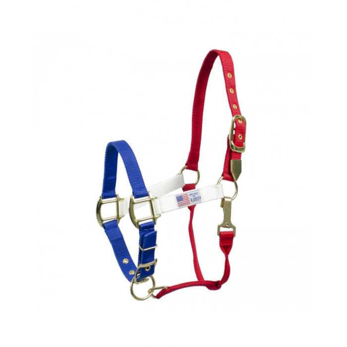 licol  Licol licol Couleurs Usa 22,54 € licol  Licol licol Couleurs Usa 22,54 €