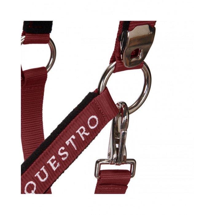 cabeção Encaixes brilhantes modelo de cordão cabeção Equestro C 45,08&nbsp;€