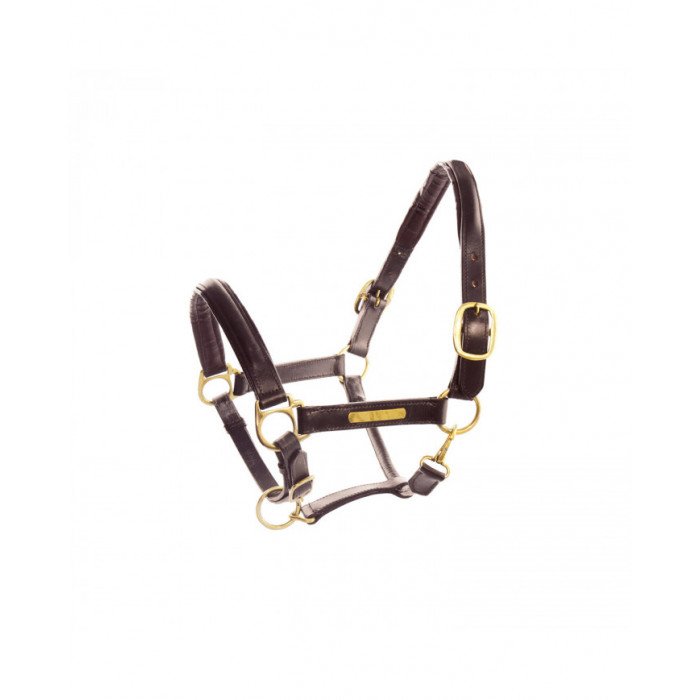 Cavezze Monta Inglese Cavezza Cuoio Doppiato Fibbie Ottone 34,02&nbsp;€