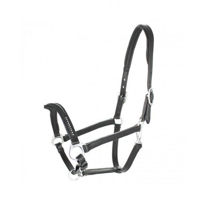 halter Supreme halter Halter C glitter 46,31&nbsp;€