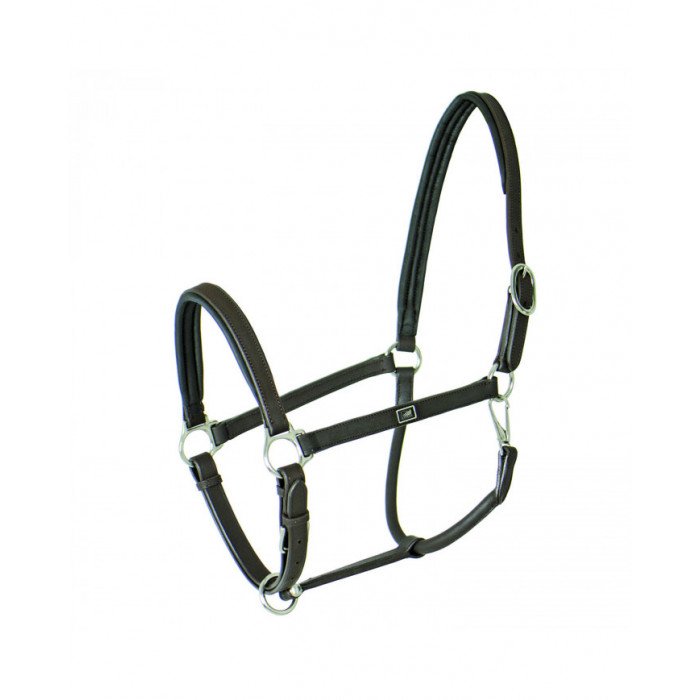 Cavezze Monta Inglese Cavezza Uke Cuoio Imbottita 2018 40,08&nbsp;€