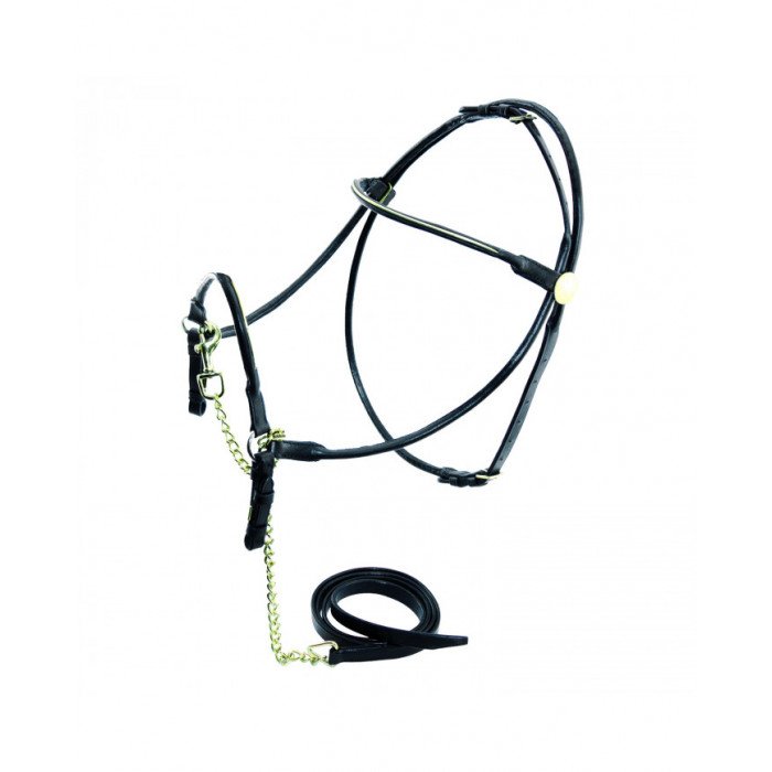 Cavezze Monta Inglese Cavezzina Cuoio Presentazione 34,84&nbsp;€