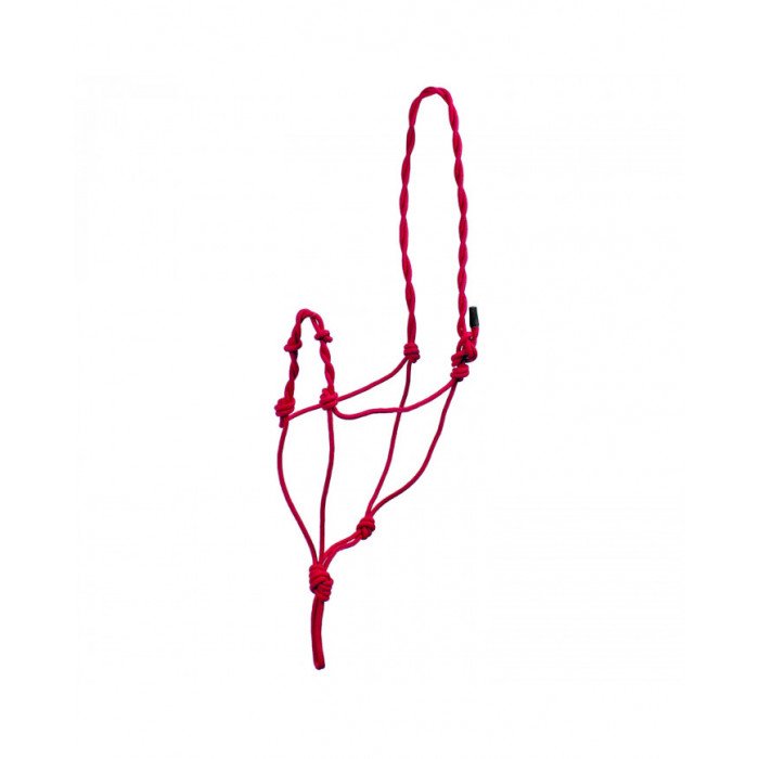 licol licol Noué Double Corde C Noeuds En Nasaline 10,25&nbsp;€