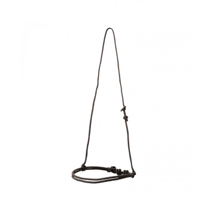 Bouche plus proche  Protège-dents en corde nouée Pool's 11,07 € Bouche plus proche  Protège-dents en corde nouée Pool's 11,07 €
