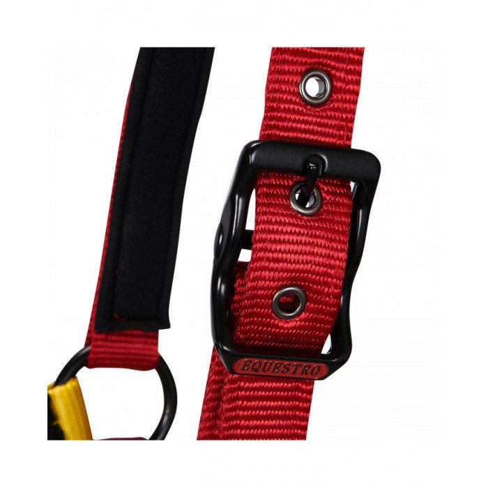 cabeção Equestro Flaggy cabeção Lunghina 52,30&nbsp;€