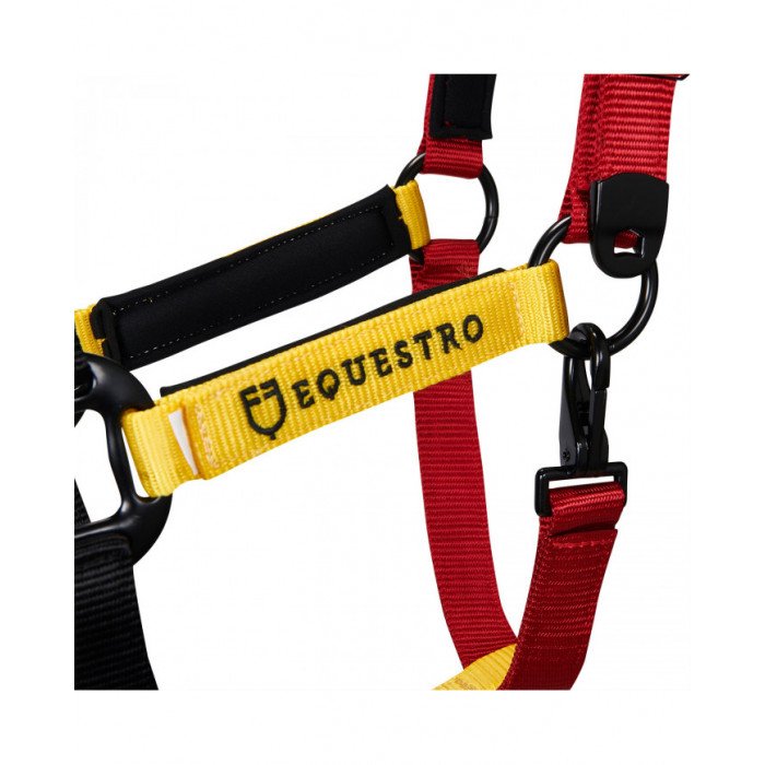 halfter Equestro Flaggy halfter Lunghina 52,30&nbsp;€