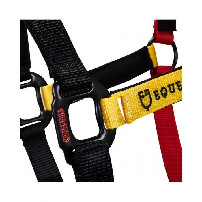 halfter Equestro Flaggy halfter Lunghina 52,30&nbsp;€