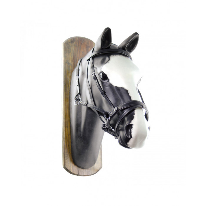 Horseball  Testiera Bittless Horse Ball C redini 64,34 € Horseball  Testiera Bittless Horse Ball C redini 64,34 €