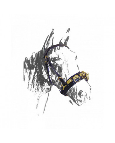 Training Accessories  Tame Cavezzone In Leather 47,95 € Training Accessories  Tame Cavezzone In Leather 47,95 €