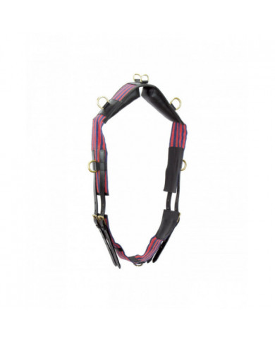 Training Accessories  Cummerbund In Leather With Small Rings And girth 35,66 € Training Accessories  Cummerbund In Leather With Small Rings And girth 35,66 €