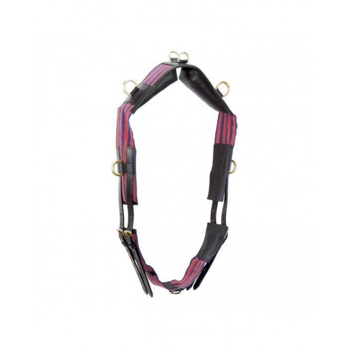 Zubehör von Doma  Lederband mit kleinen Ringen und kurzgurt 35,66 €