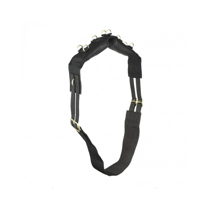 cinchas doma  Fajín con anillos en C de nailon y cinchas 32,70 € cinchas doma  Fajín con anillos en C de nailon y cinchas 32,70 €