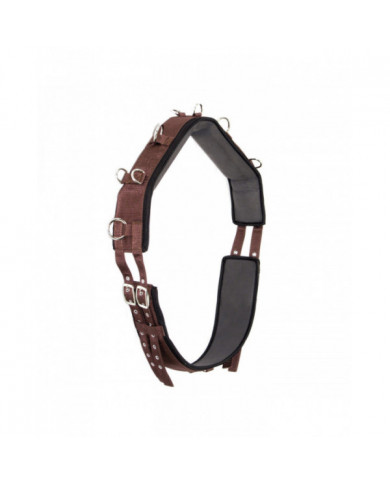 Training Accessories  cob neoprene Nylon Band 44,67 € Training Accessories  cob neoprene Nylon Band 44,67 €