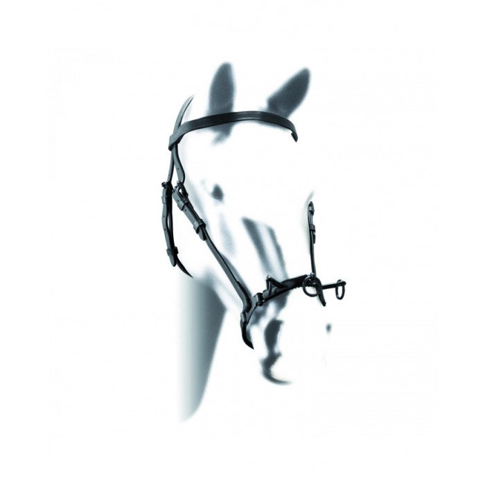 licol Tame Cavezzone En Cuir Espagnol 67,13&nbsp;€