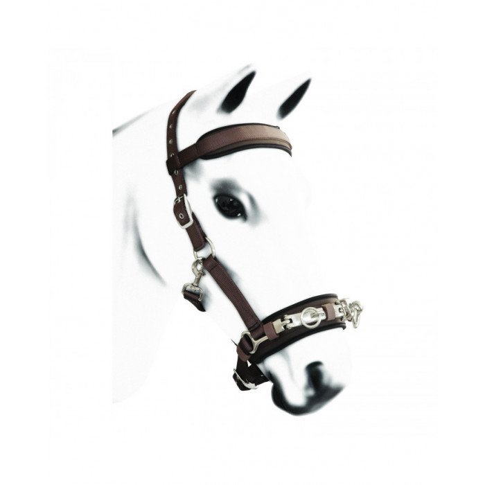 Accessori da Doma  Cavezzone Doma In Nylon 41,39 €