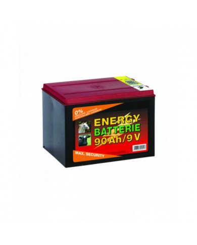 Accessori e Ricambi  Batteria 10000h 35,66 €