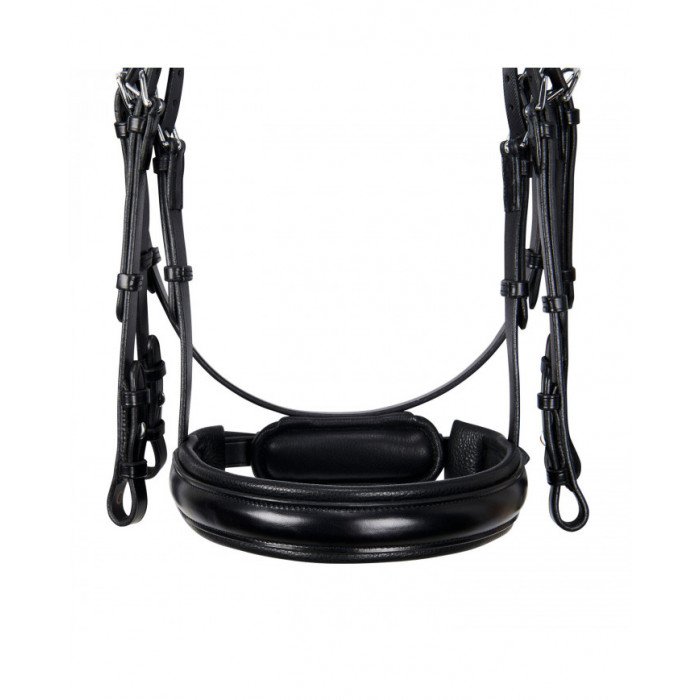 Briglie Monta Inglese Briglia Dressage Senza Doppie Redini Evolution Sagomata 128,03&nbsp;€