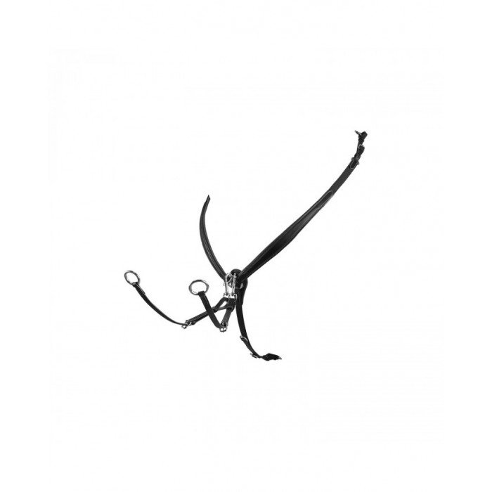 Martingale Monta Inglese Pettorale Jumping Np 101,89&nbsp;€