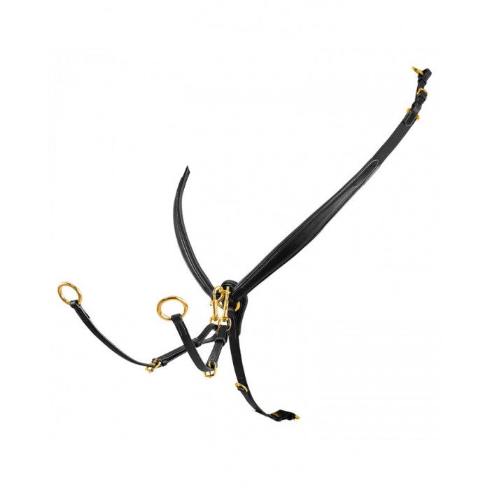 gamarra Peitoral de ouro de peitoral 89,26&nbsp;€