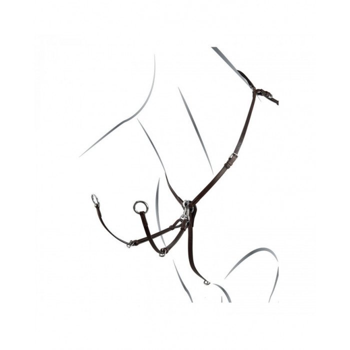 martingal Jagd gleitendes ringmartingal Reg Np 101,89&nbsp;€