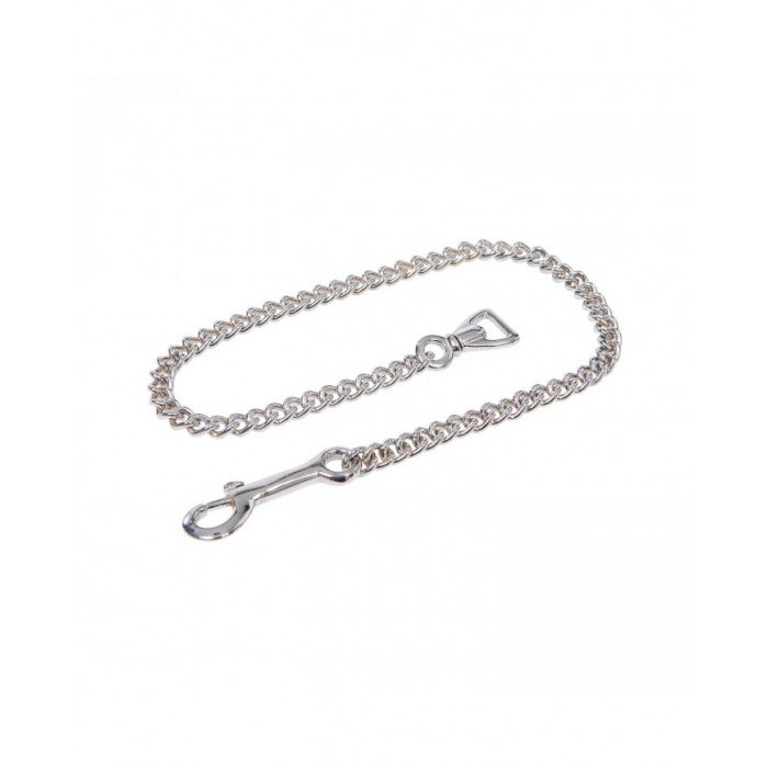Longes Laisse en cuir avec chaîne en argent 38,77&nbsp;€